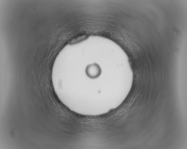 X0000115781153200912041446