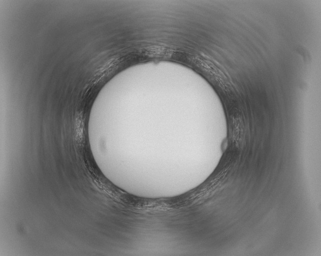 X0000115781154200912041445