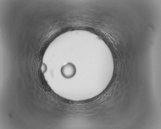 X0000115781157200912041445