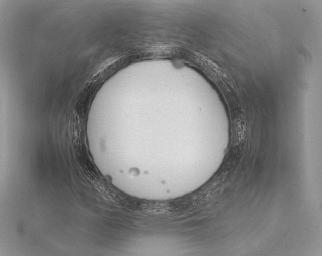 X0000115781158200912041445