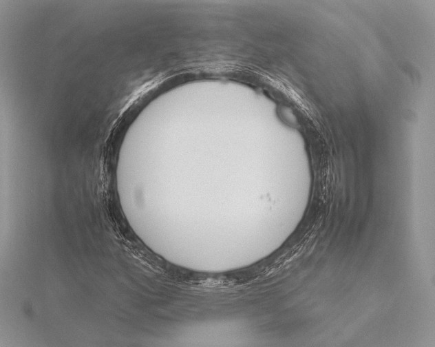 X0000115781160200912041445