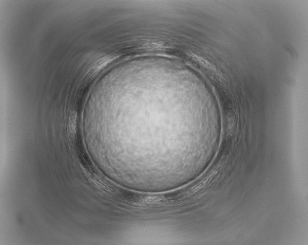 X0000115781161200912041445