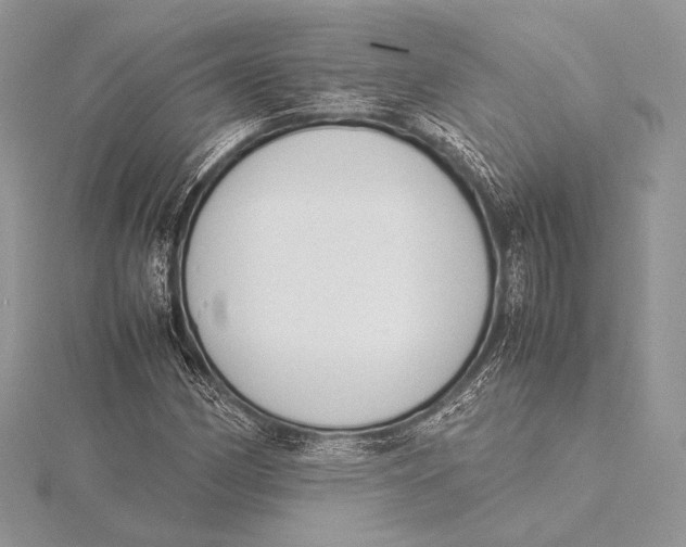 X0000115781162200912041445