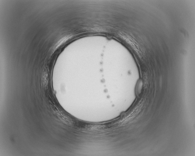 X0000115781163200912041445