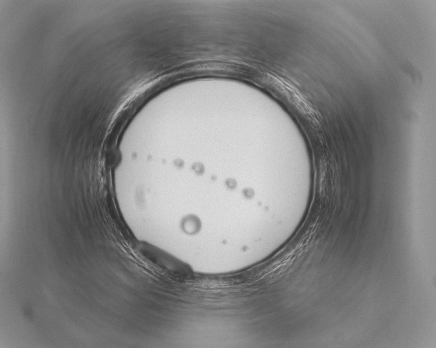 X0000115781164200912041445