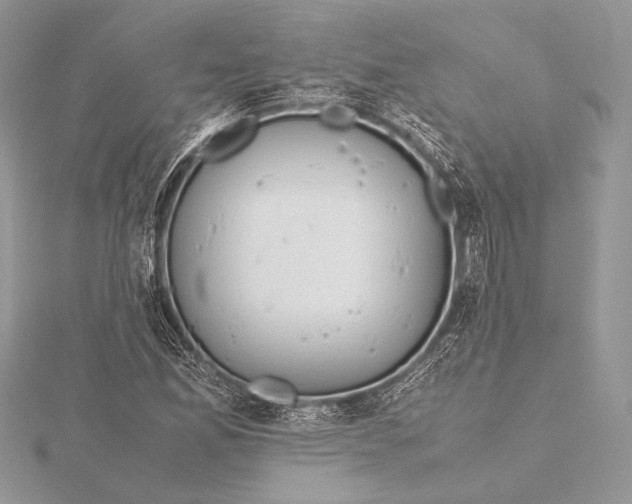 X0000115781165200912041445