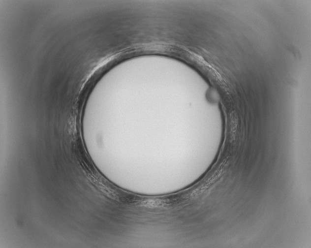 X0000115781166200912041445