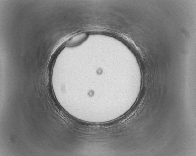 X0000115781167200912041445