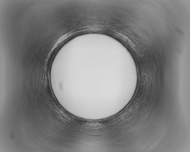 X0000115781168200912041445