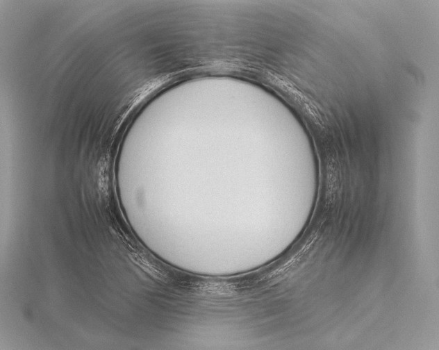 X0000115781170200912041445