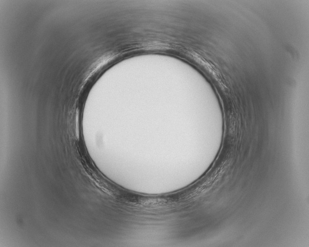 X0000115781171200912041445