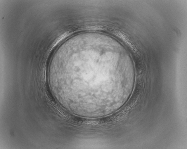 X0000115781173200912041445