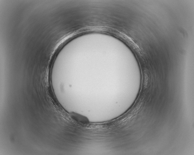 X0000115781174200912041445