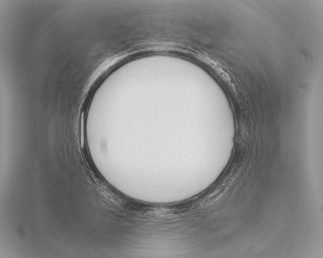 X0000115781175200912041445