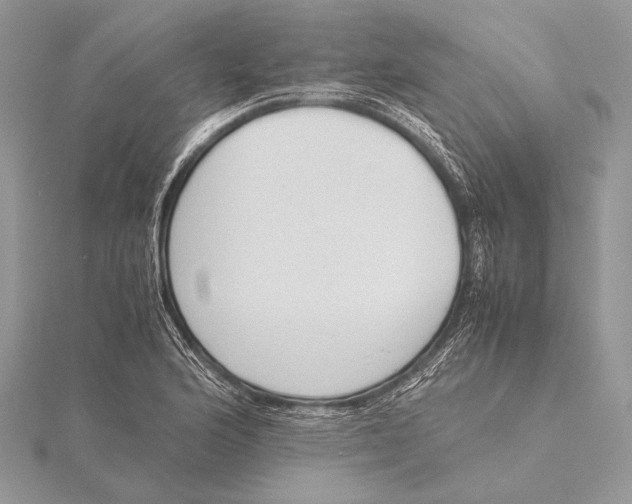 X0000115781176200912041445