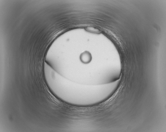 X0000115781177200912041445