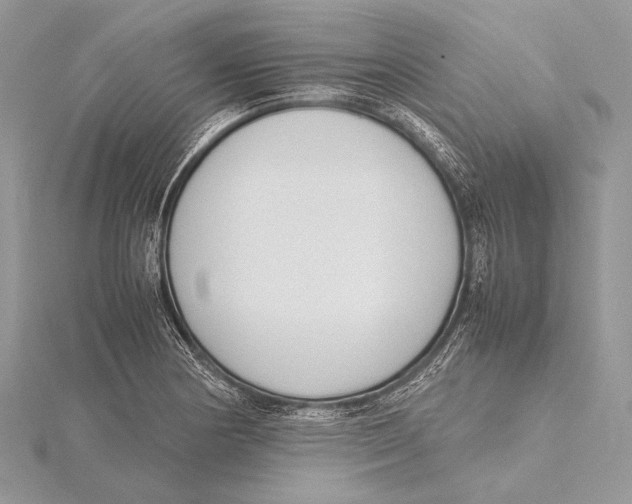 X0000115781178200912041445