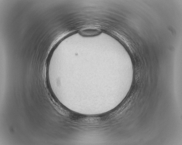 X0000115781179200912041445