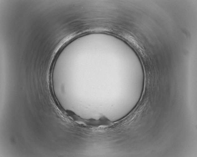 X0000115781181200912041445