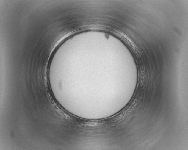 X0000115781182200912041445