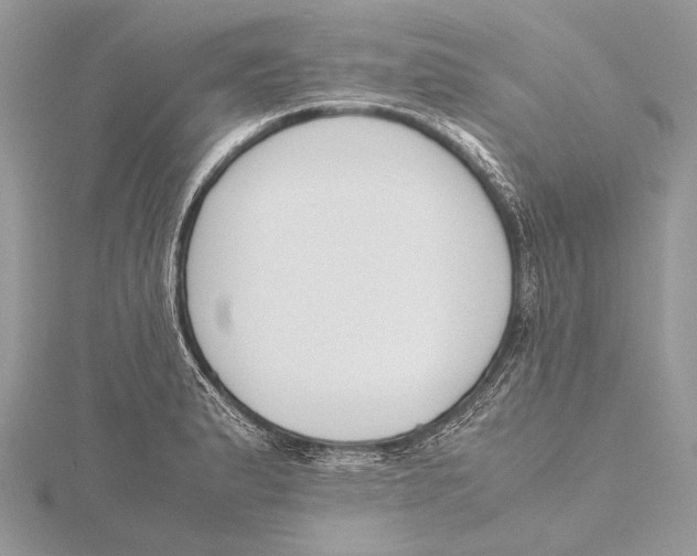 X0000115781183200912041445