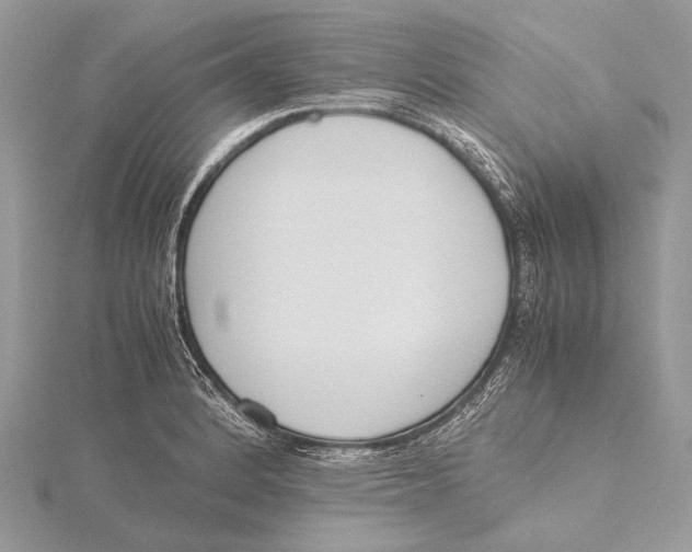 X0000115781184200912041445