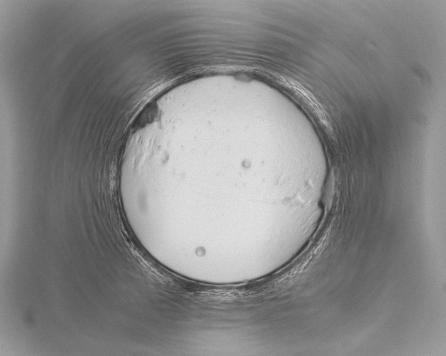 X0000115781185200912041445