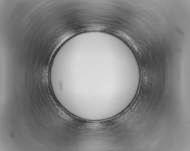 X0000115781186200912041445