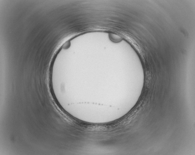 X0000115781187200912041445