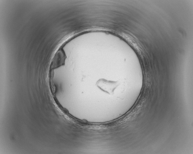 X0000115781189200912041445