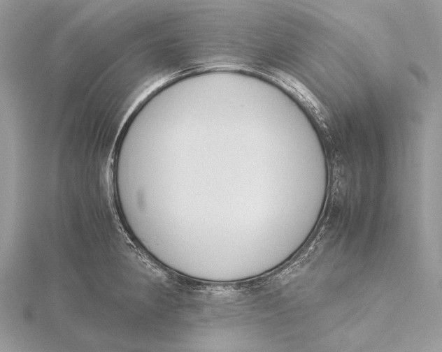 X0000115781190200912041445