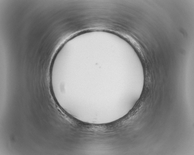 X0000115781191200912041445