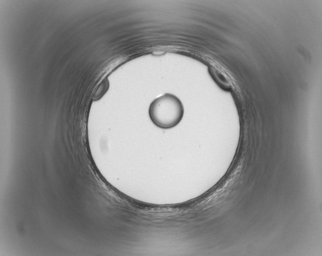 X0000115781193200912041445