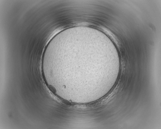 X0000115781194200912041445