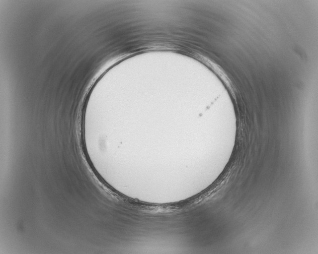 X0000115781195200912041445