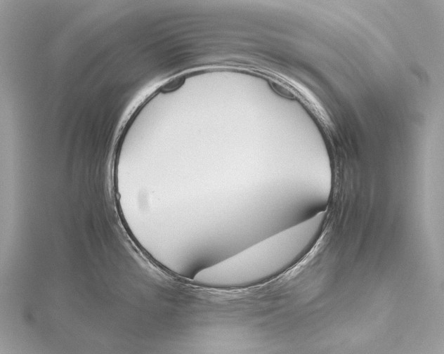 X0000115781196200912041445