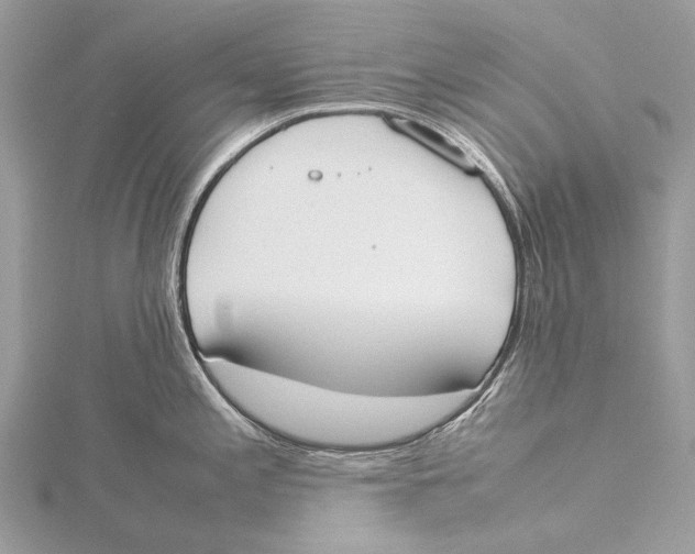 X0000115781197200912041445