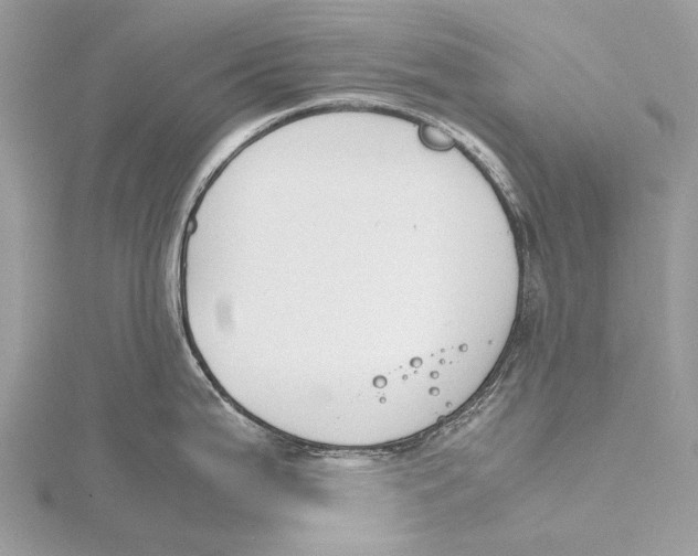 X0000115781199200912041445