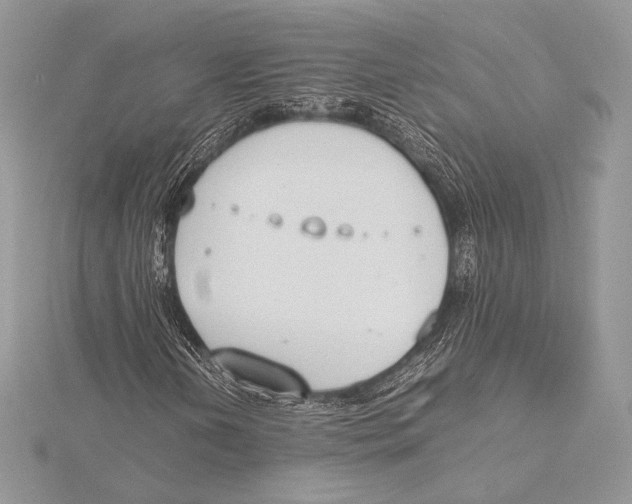 X0000115781202200912041444