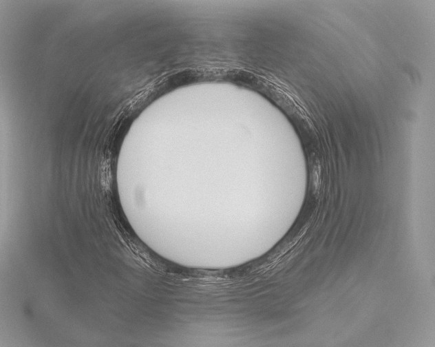 X0000115781204200912041444