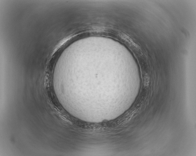 X0000115781208200912041444