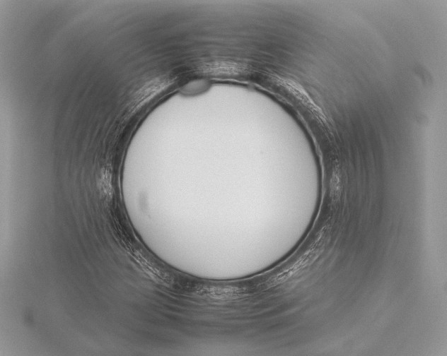 X0000115781209200912041444