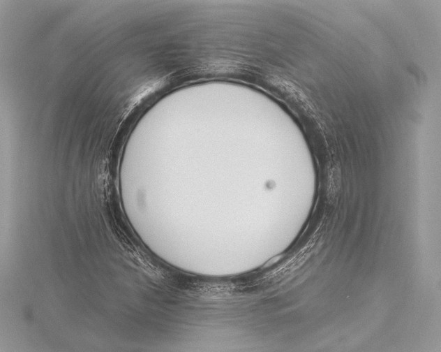 X0000115781210200912041444