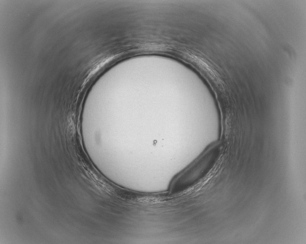 X0000115781212200912041444