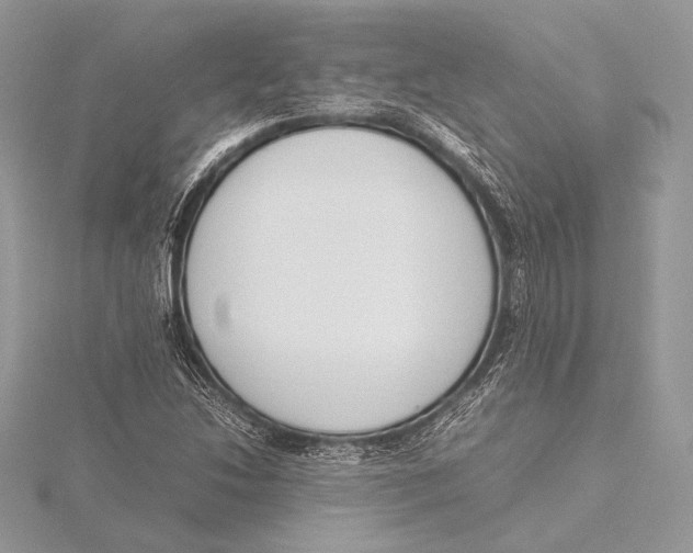 X0000115781214200912041444