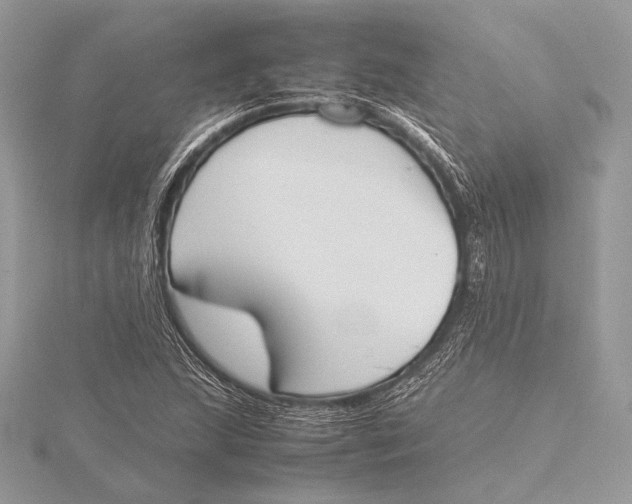 X0000115781215200912041444