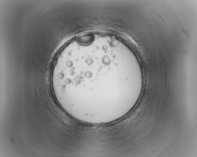 X0000115781216200912041444