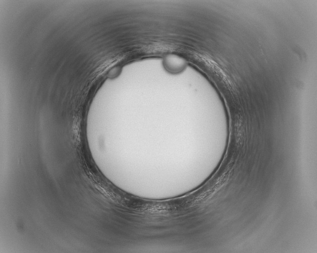 X0000115781217200912041444