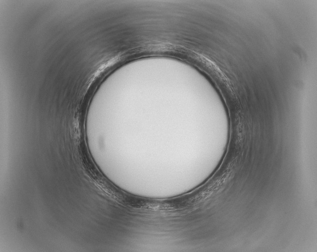 X0000115781218200912041445