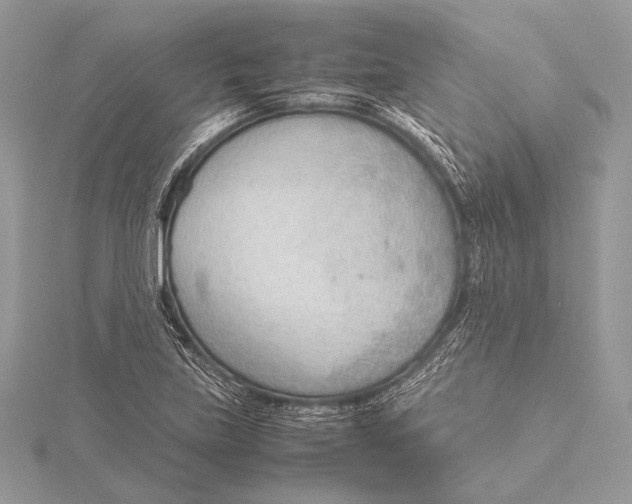 X0000115781219200912041445